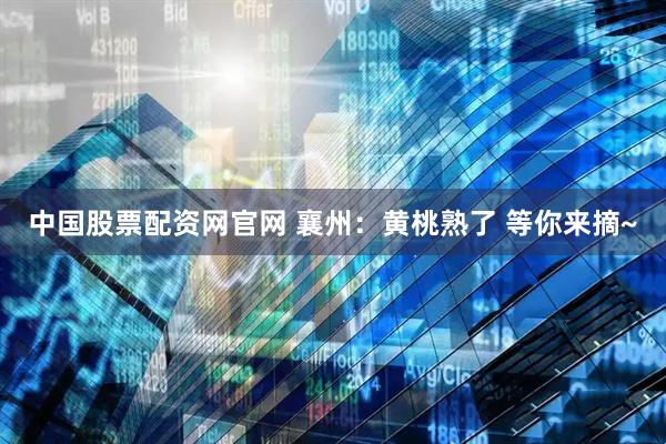中国股票配资网官网 襄州：黄桃熟了 等你来摘~