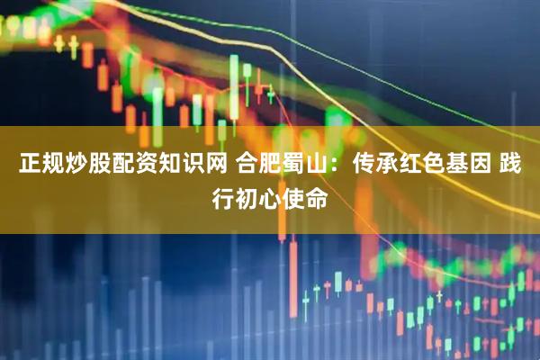 正规炒股配资知识网 合肥蜀山：传承红色基因 践行初心使命